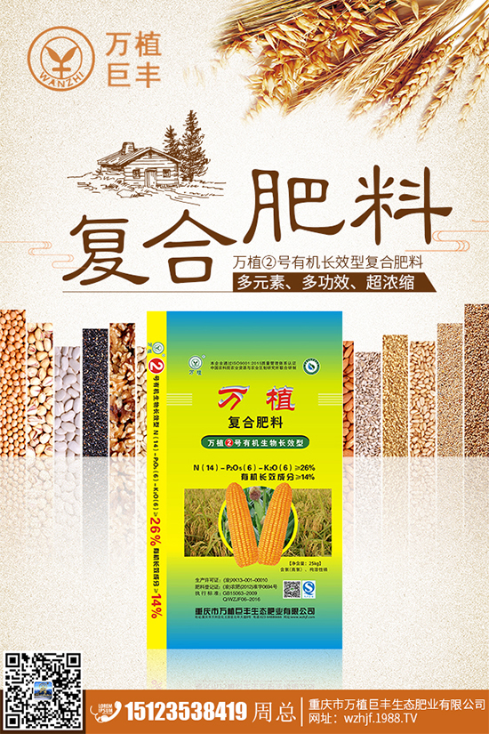 溫室大棚茄子該如何栽培？冬季大棚高產(chǎn)栽培技術(shù)