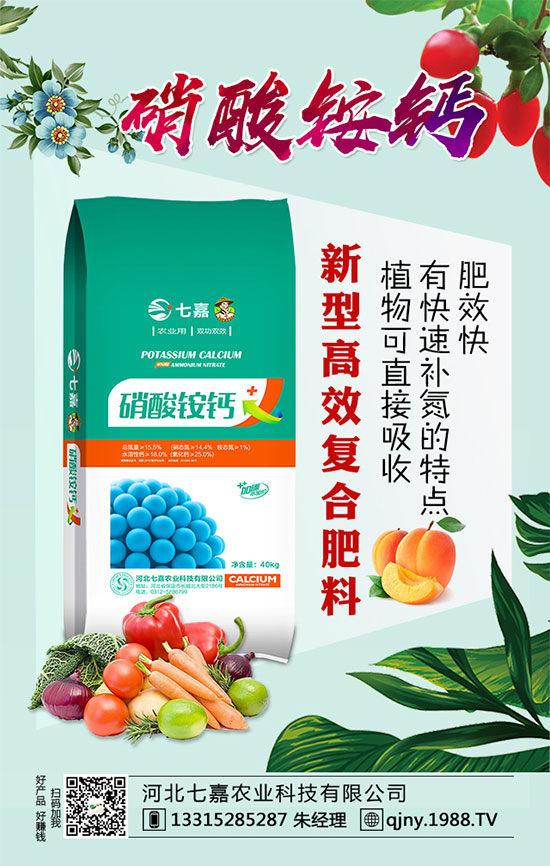 2020年茶籽價格多少錢一斤？油茶樹種植前景如何？（附種植技術(shù)）