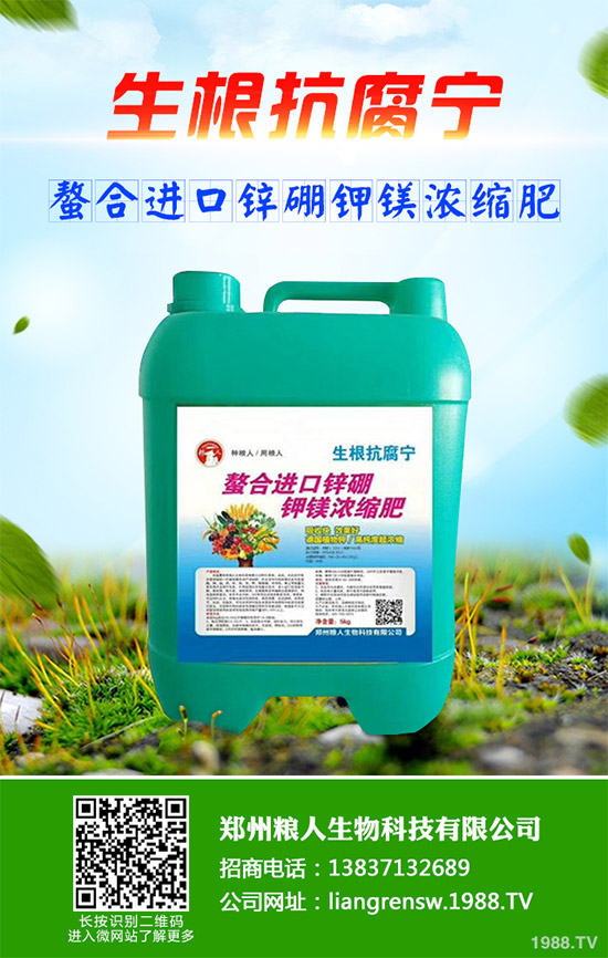 ���E����Щ�I(y��ng)�B(y��ng)�r(ji��)ֵ�����E�ĠI(y��ng)�B(y��ng)�r(ji��)ֵ����Ч����