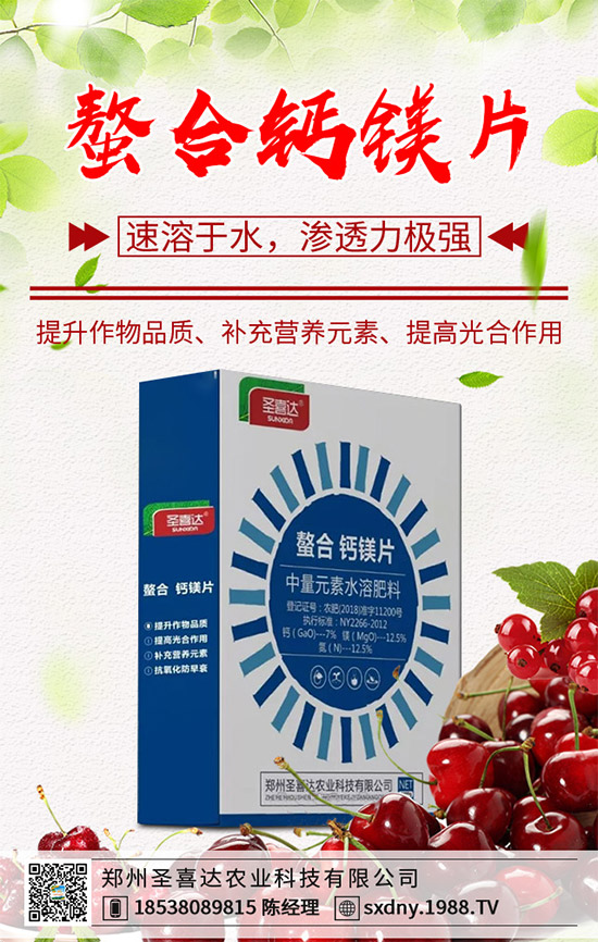 ���E����Щ�I(y��ng)�B(y��ng)�r(ji��)ֵ�����E�ĠI(y��ng)�B(y��ng)�r(ji��)ֵ����Ч����