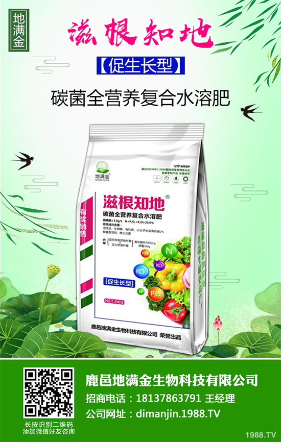 ���G�Ӷ����Xһ����2020�����G�ӷNֲǰ����Ч�����