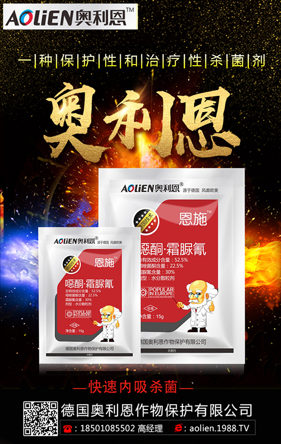 ���ٔ���r�g ���ٔ������