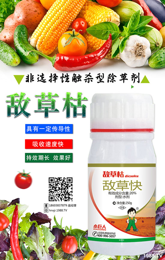 ����Ъ��ԭ�� ����Ъ�����η���