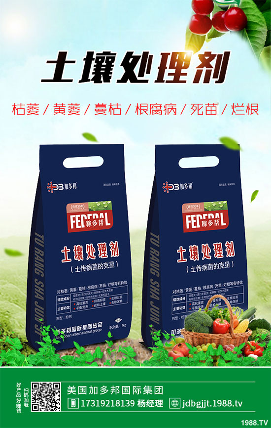 ؕ�ջ�ԓ���������ؕ�ջ��߮a���༼�g