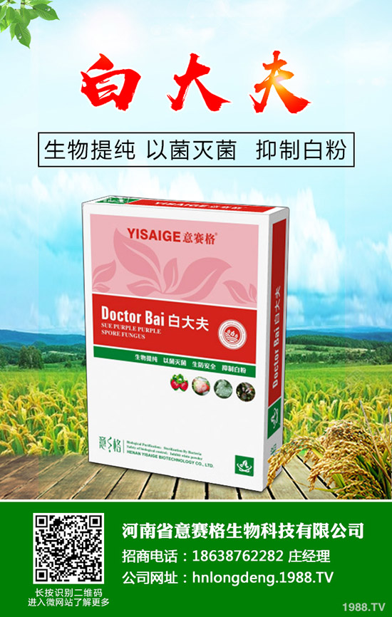 ���Ѷ���ʲô�r���^�������Ѷ�����ʲô������