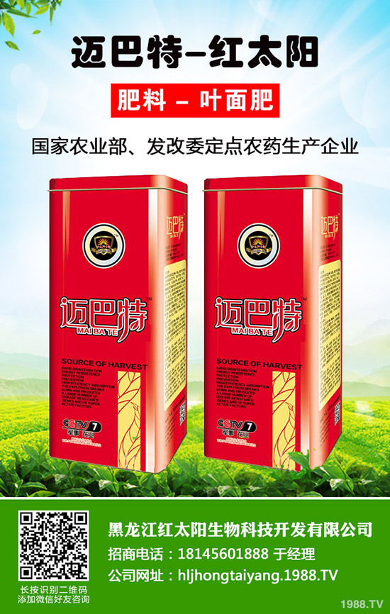 ���}�Nֲ��ýY(ji��)����һ��Y(ji��)�״ι������}�Nֲ������