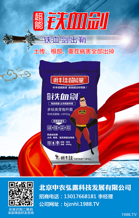 2019��12��17�Շ���(n��i)���؅^(q��)⛷ʳ��S��rһ�[