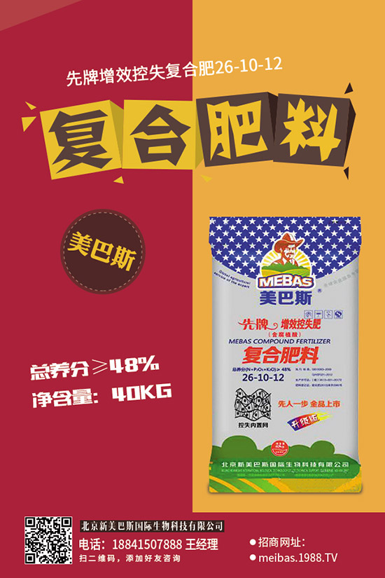 2019��11��17�Շ�(gu��)��(n��i)��(f��)�Ϸ���������������������S��(b��o)�r(ji��)��