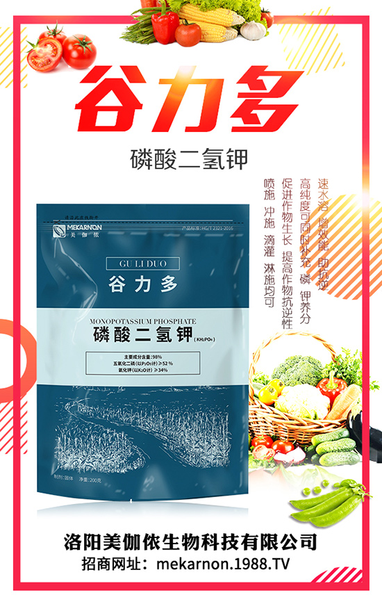 �S�ҷNֲ�r(ji��)�� �S�ҷNֲǰ�� �S�ҷNֲ����