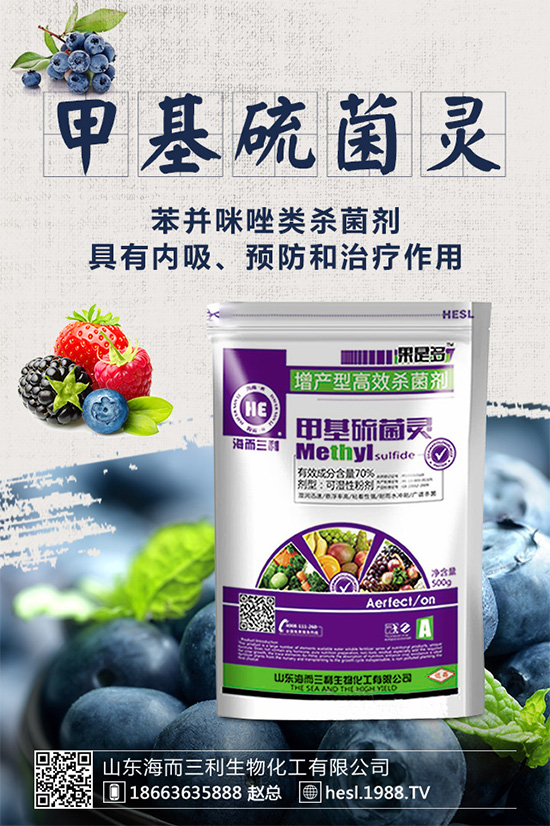     ��ݮ�������r��