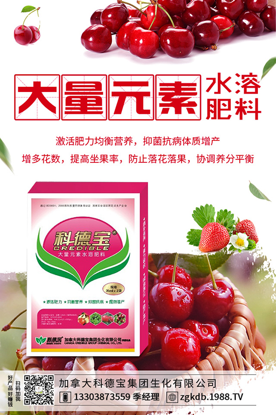 2019-12-21���؃r������ӑB(t��i)�������Xһ����