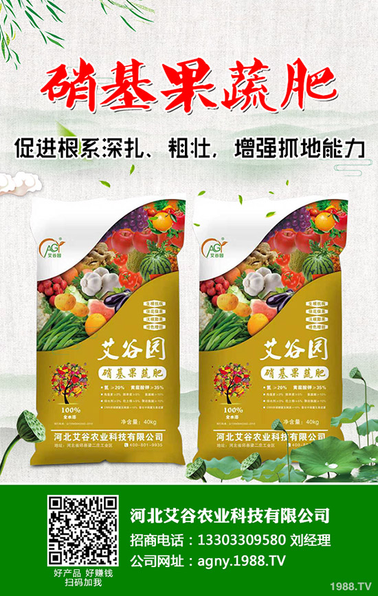     2020年春節(jié)將至！磷銨市場(chǎng)壓力巨大！最新二銨價(jià)格行情走勢(shì)預(yù)測(cè)！