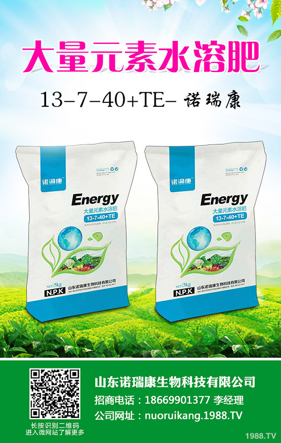     �R�����P��2020�������Ј���������׃�����������������