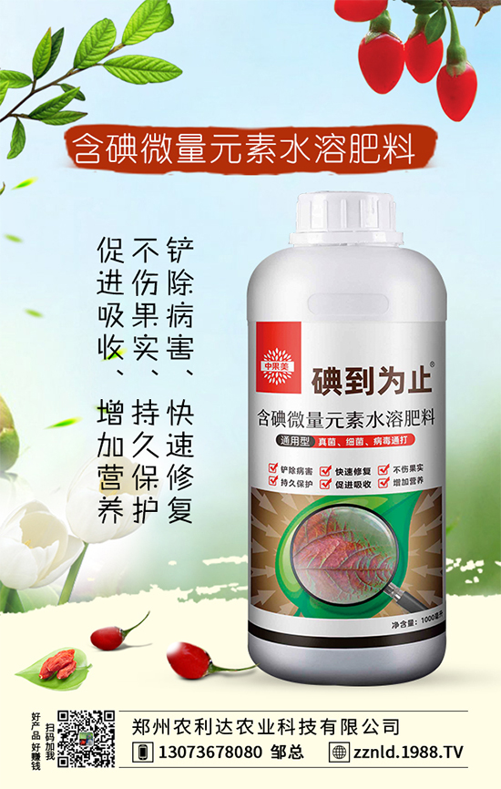 �t�}����ι��������S��������ƌW(xu��)�����҂�֪������