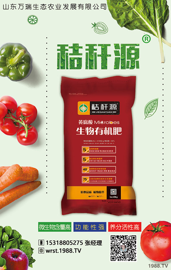     2020�괺��(ji��)������2019�������������r��C�Ϸ�����棡