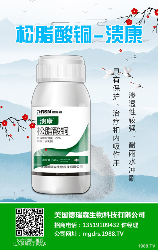 ������Seipasa�������Fungisei�����ݲ�ѿ�ߗU�����������@�Uչ��ӛ �����{�������