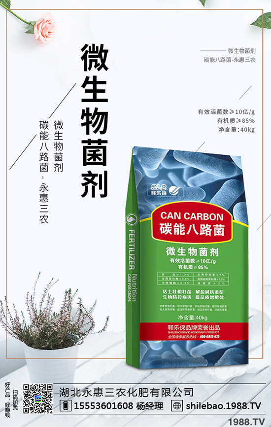 2020年西梅的種植前景如何？西梅價格多少錢一斤？