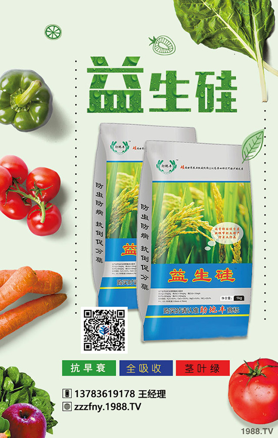 ��������O�����Ϸʼ��g(sh��)���@���c(di��n)��W(xu��)��(hu��)�����a(ch��n)������