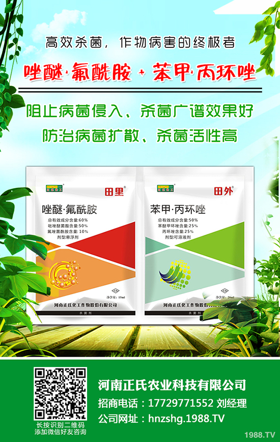 西梅種植的氣候條件，西梅種植的方法！