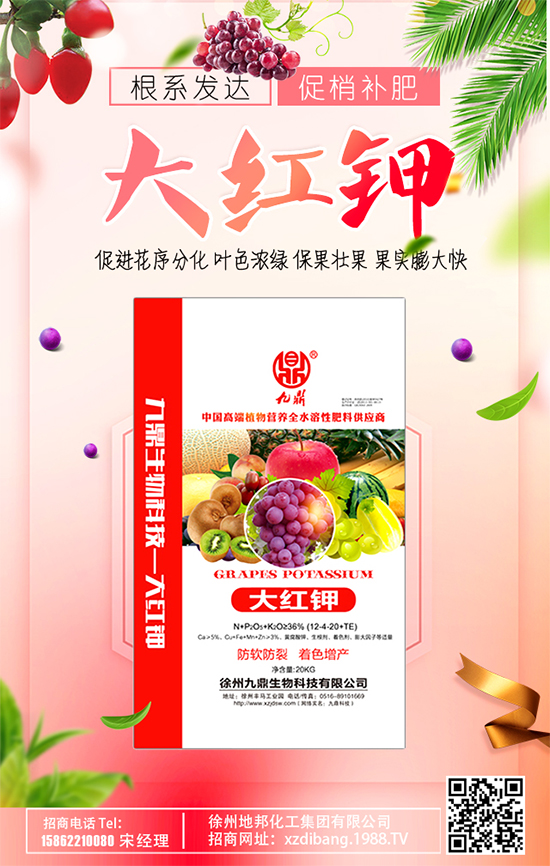 蘋果斑點落葉病啥癥狀？蘋果斑點落葉病怎么防治？