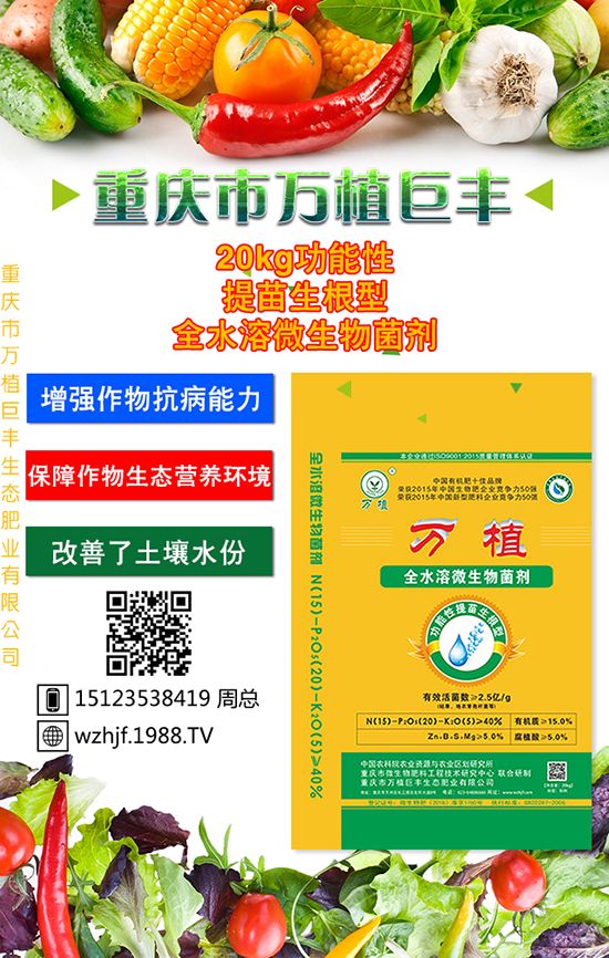 �o�O��̫�O��̫�O���Ƀx��������ʩ��Ҳ���������ˡ�