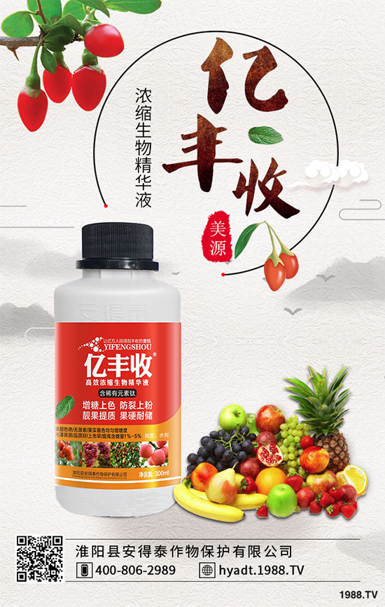 荔枝果樹怎么修剪？荔枝采后修剪的常見誤區(qū)！