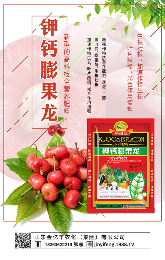 荔枝什么時間種植？荔枝怎么種植？