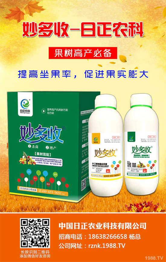 金線蓮該如何種植？金線蓮的種植及養(yǎng)管理