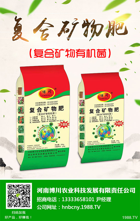 野生金線蓮有哪些神奇功效？野生金線蓮的功效及用法