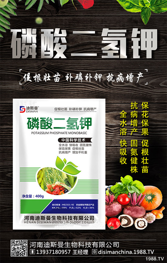 野生金線蓮有哪些神奇功效？野生金線蓮的功效及用法