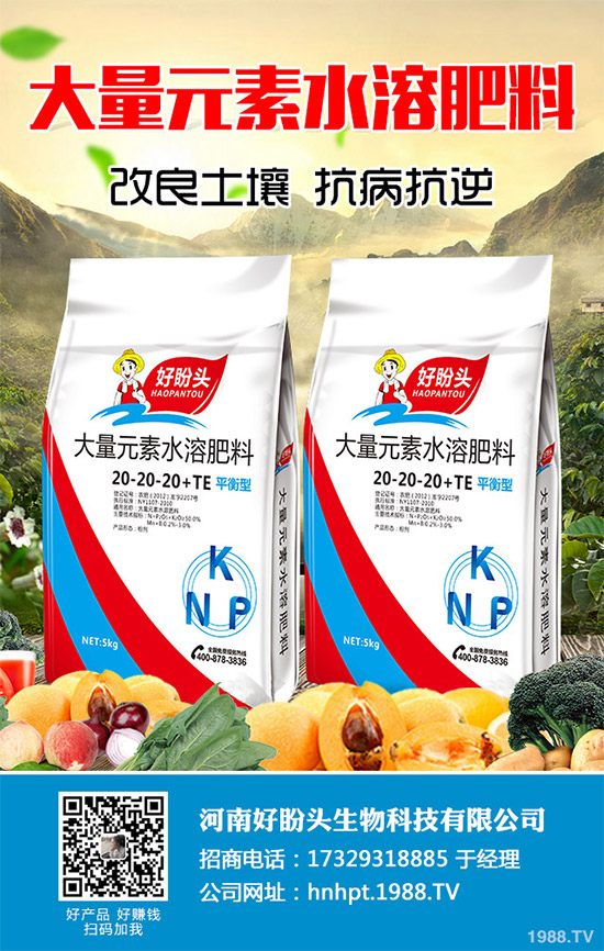 ������֪���Ľ�ɏ���p���ų����w11�N���أ�