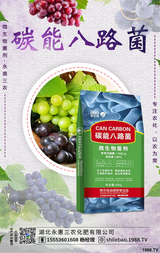     2020年1月1日新的一年磷銨價(jià)格行情怎樣？今日一銨出廠參考報(bào)價(jià)！