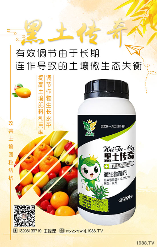 花椒樹什么季節(jié)種植？花椒樹的種植注意事項！