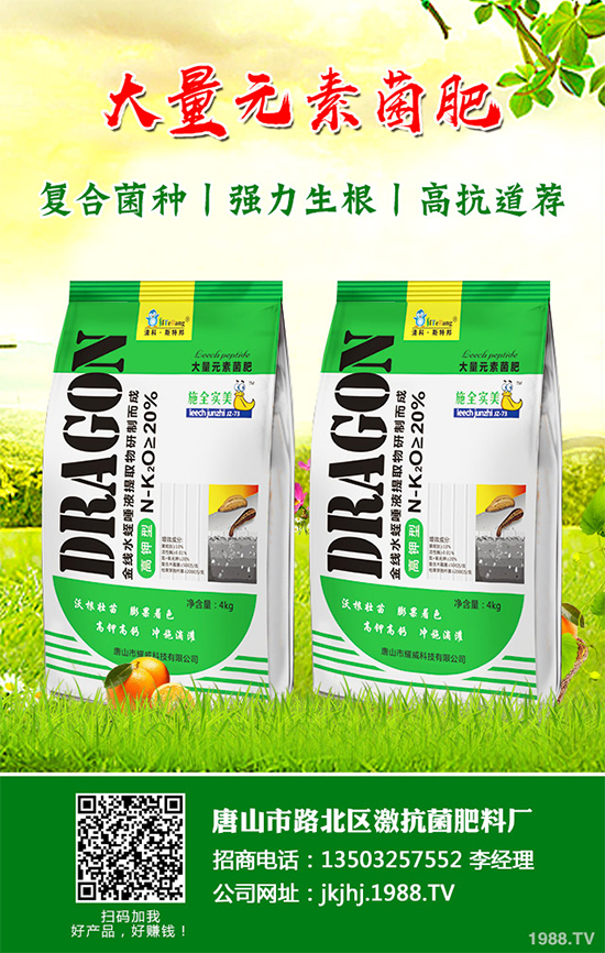 ������۲�����ЩΣ����ԓ��η��Σ���������ɣ�