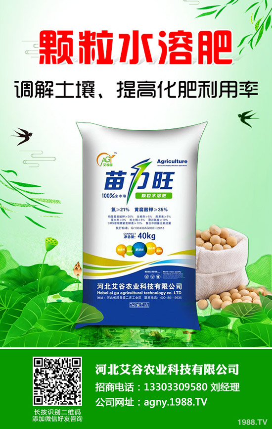 ���Ĳ�����ʩ�ʮa(ch��n)���������Ĳ�ʩ�ʼ�������Щ��