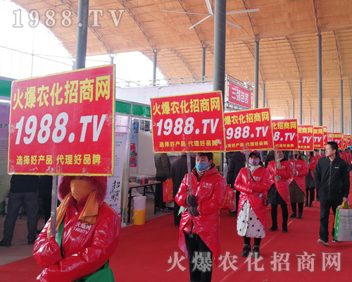     ���r�����̾W��2019�ӱ�ʯ���fֲ�����ϻ���ȫ�_��