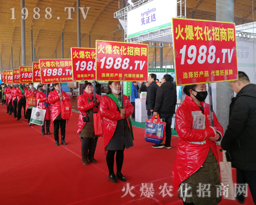     2019��30�úӱ�ֲ����(hu��)�����r(n��ng)���W(w��ng)Ҋ�C�ИI(y��)ʢ��(hu��)�ل�(chu��ng)�ѿ�(j��)��