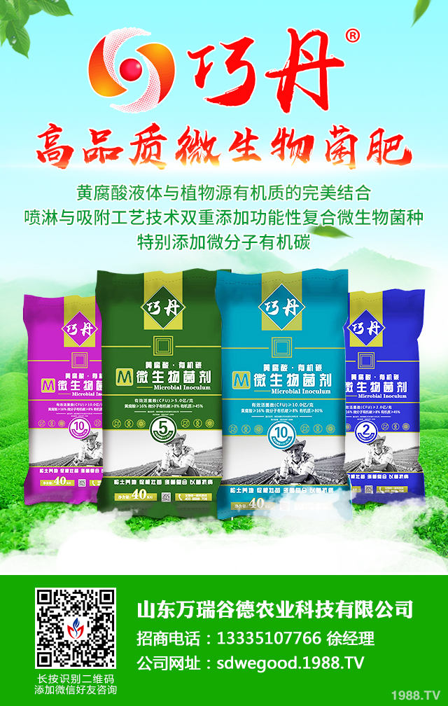 �z����˥��ô����Ч�������z����˥���η���