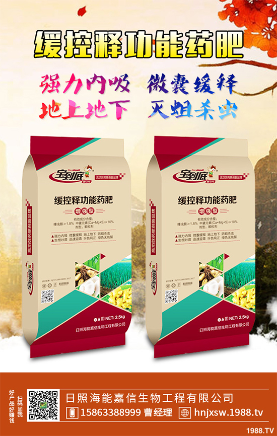 �۲�ԓ��ηNֲ��ע��Щʲô���۲˸߮a(ch��n)�Nֲ����