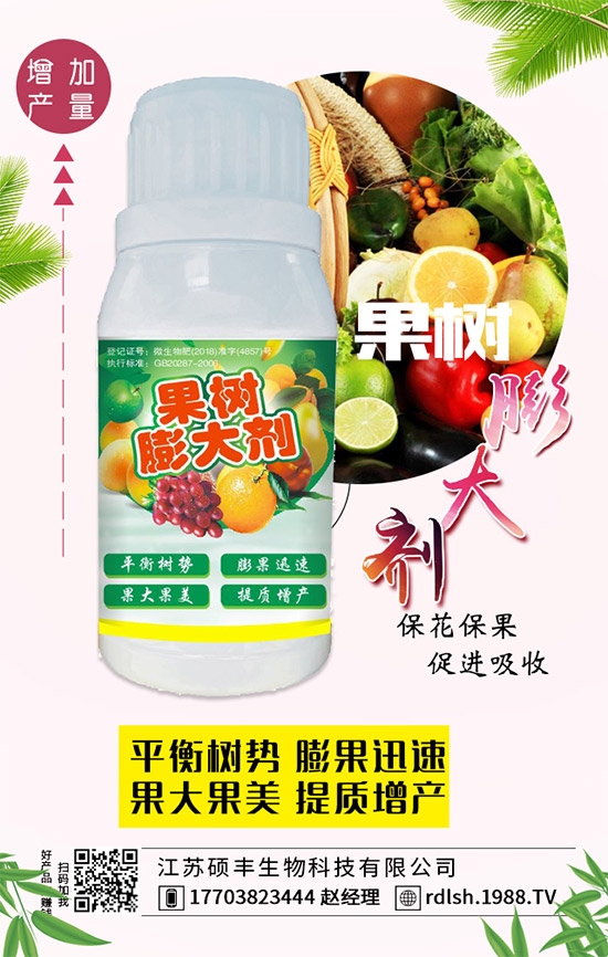 ��ľ���Ĺ�Ч�c��������ľ�����ʳ��������Щ��