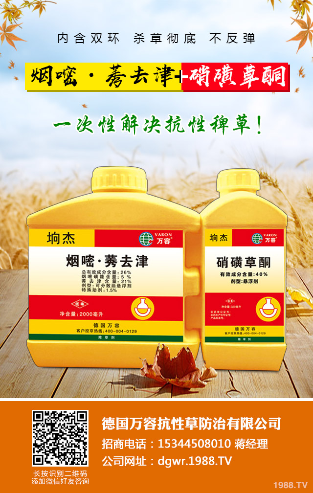 小麥除草劑怎么施用？小麥除草劑施用方法