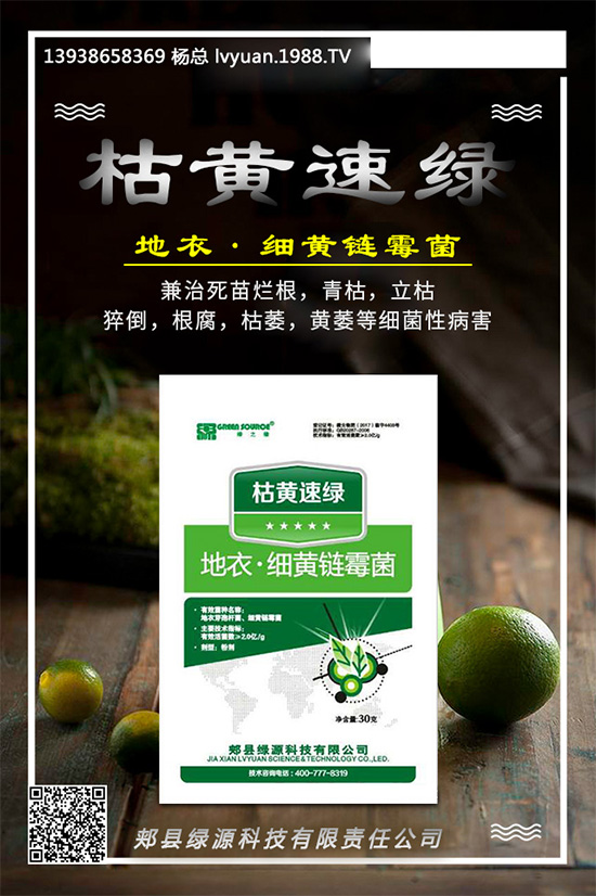 芹菜早疫病有哪些危害？是如何發(fā)生的？芹菜早疫病的發(fā)生與防治