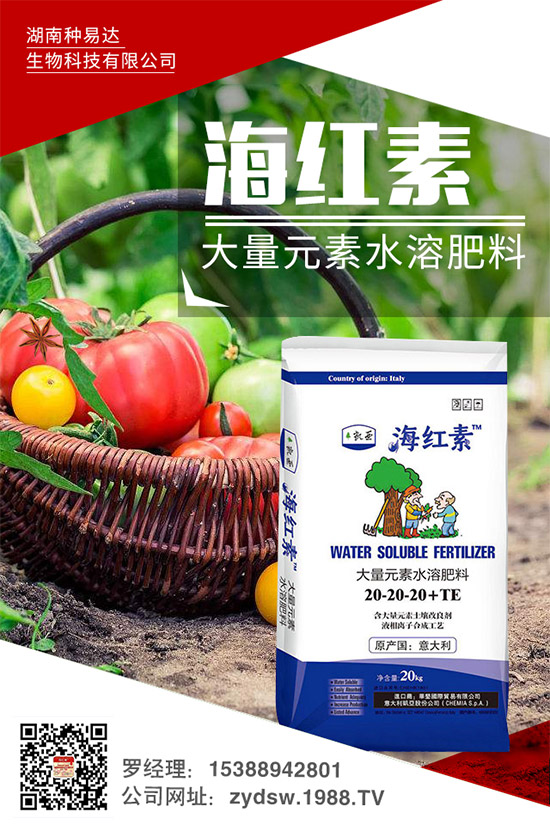 �＾��ݮ��ô�����＾�����ݮ�ĸ߮a(ch��n)���༼�g(sh��)���h(hu��n)��Ҫ��