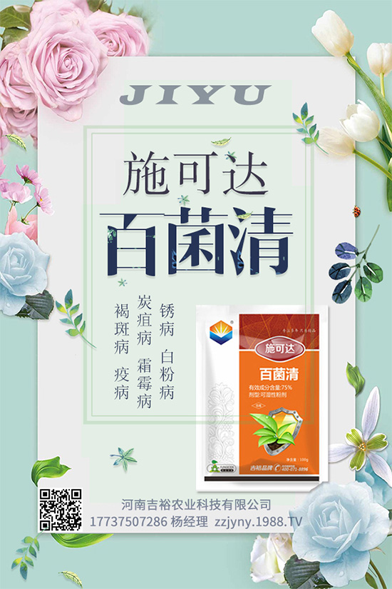 �}�������