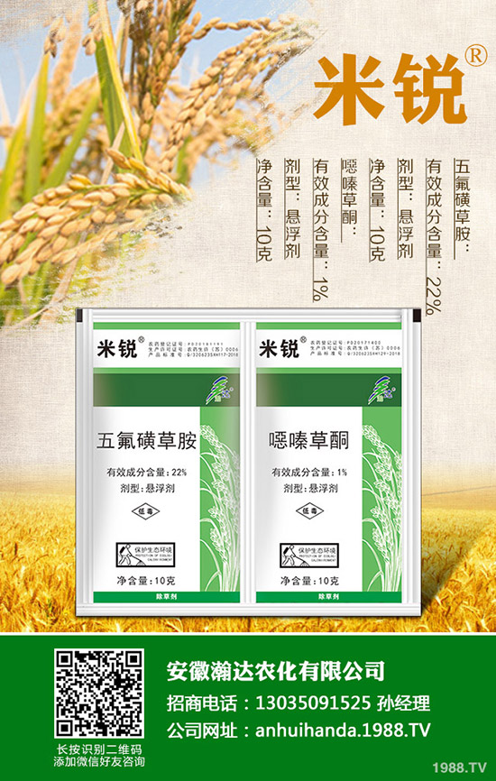 �Բ�������Щ��̎�����˵ĠI(y��ng)�B(y��ng)�r(ji��)ֵ����Щ��