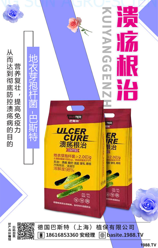 ������һ���Ǽ����Բ��������e���e����Ƚ���������������ɷ����Ν�������