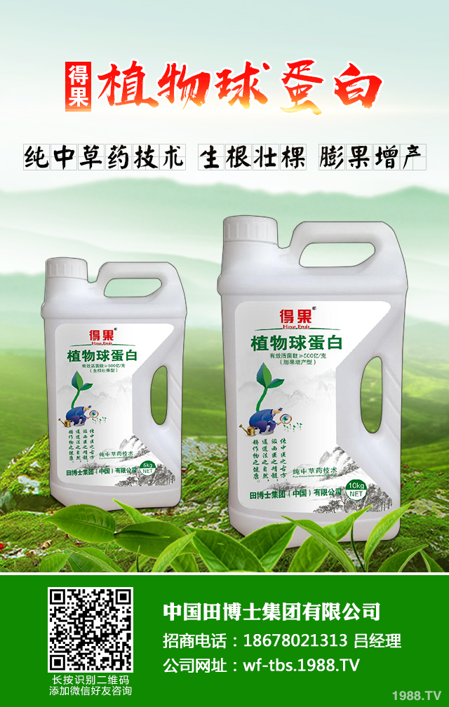 大蔥種植怎么管理？秋季大蔥管理好方法