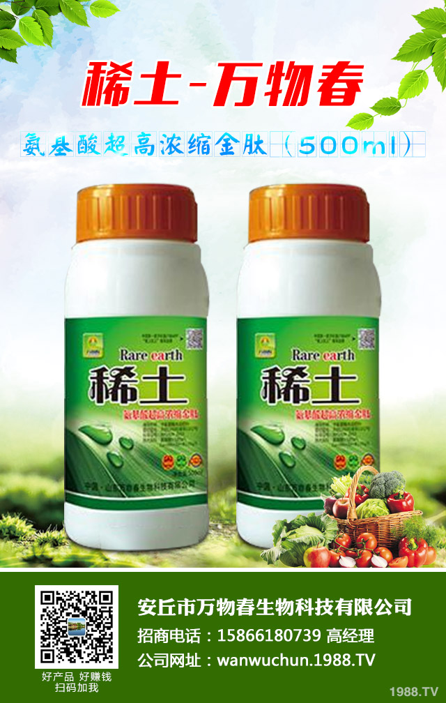 大蔥種植怎么管理？秋季大蔥管理好方法