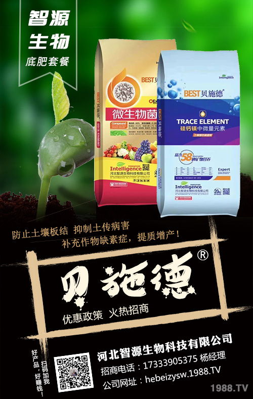 �Nֲ��횿������ǻ��ʣ�׷��ʩ�ʷ���