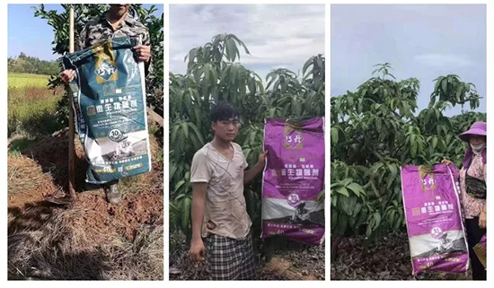 ��΢�������+�ЙC(j��)�ʡ�Ч��ţ����ʩһ������飬ʡ���ָ߮a(ch��n)��